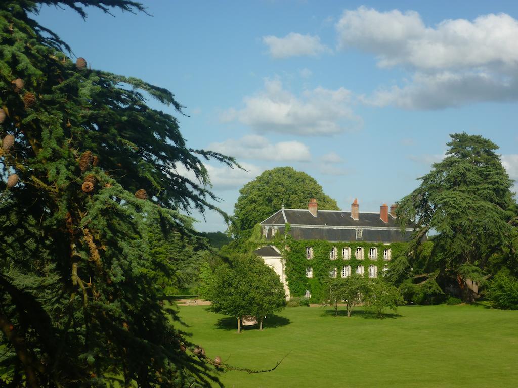 Bed And Breakfast - Chateau Du Vau Ballan-Mire Exterior photo