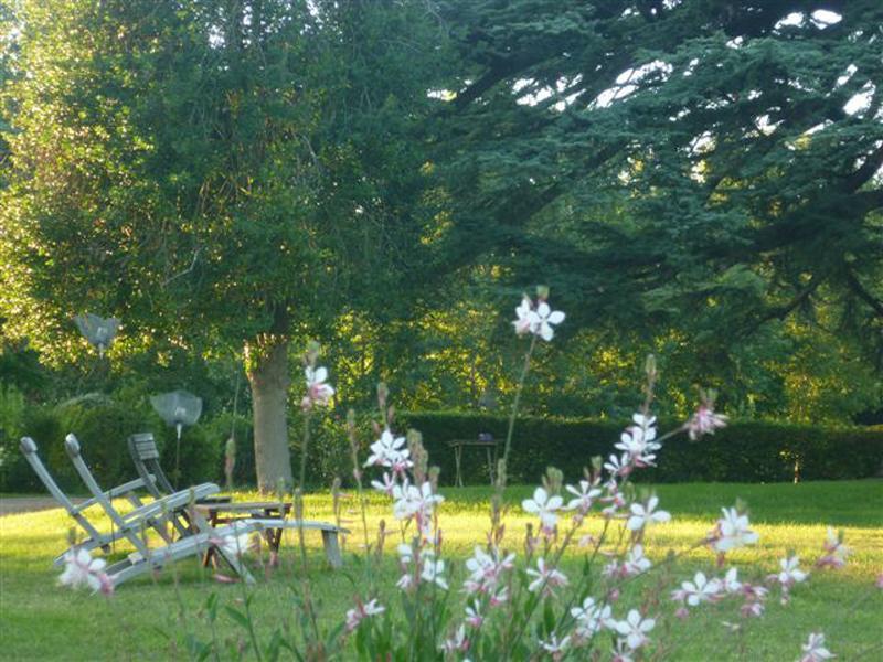 Bed And Breakfast - Chateau Du Vau Ballan-Mire Exterior photo