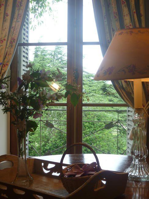 Bed And Breakfast - Chateau Du Vau Ballan-Mire Room photo